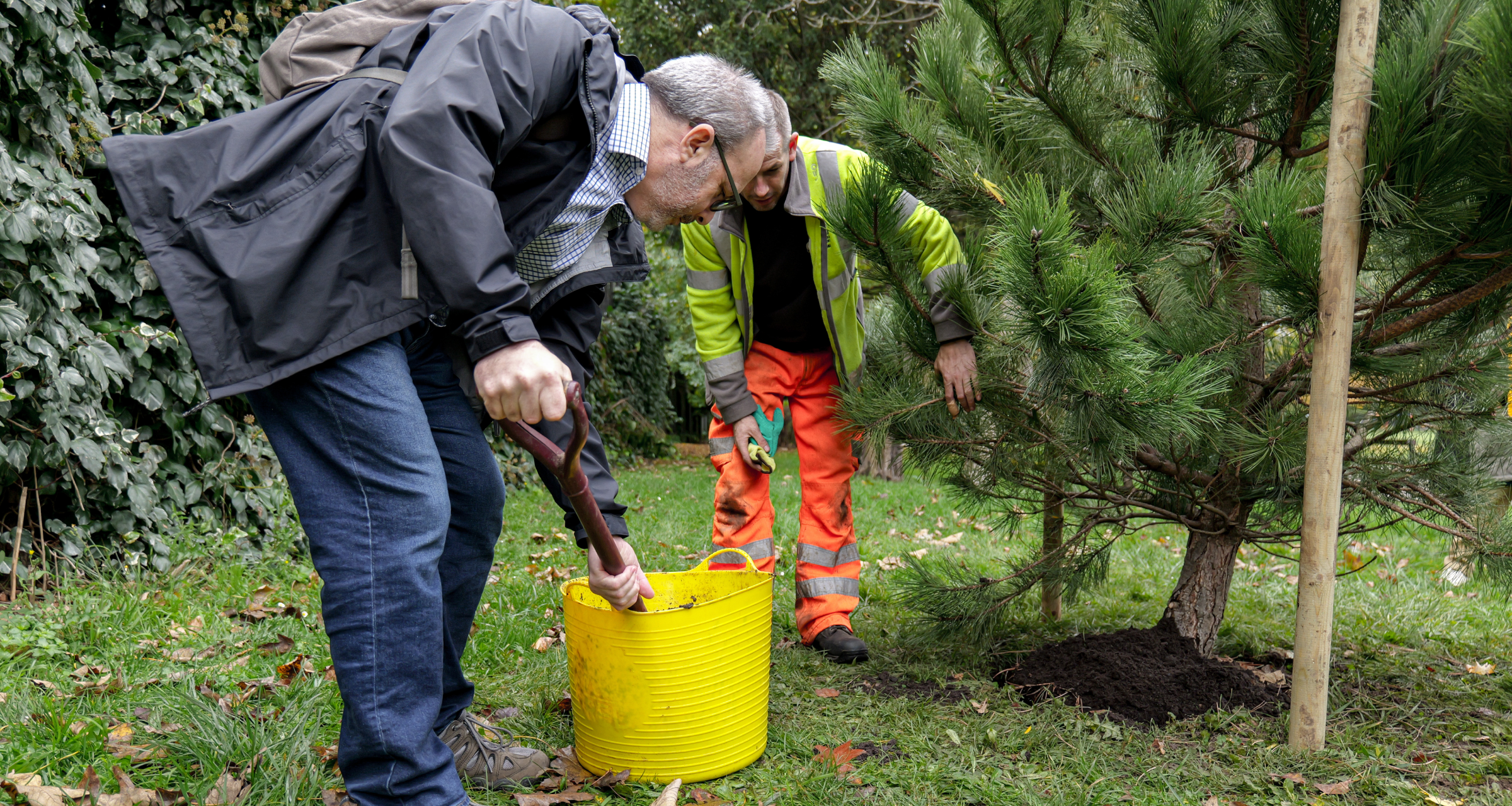 Efficient Stump Grinding