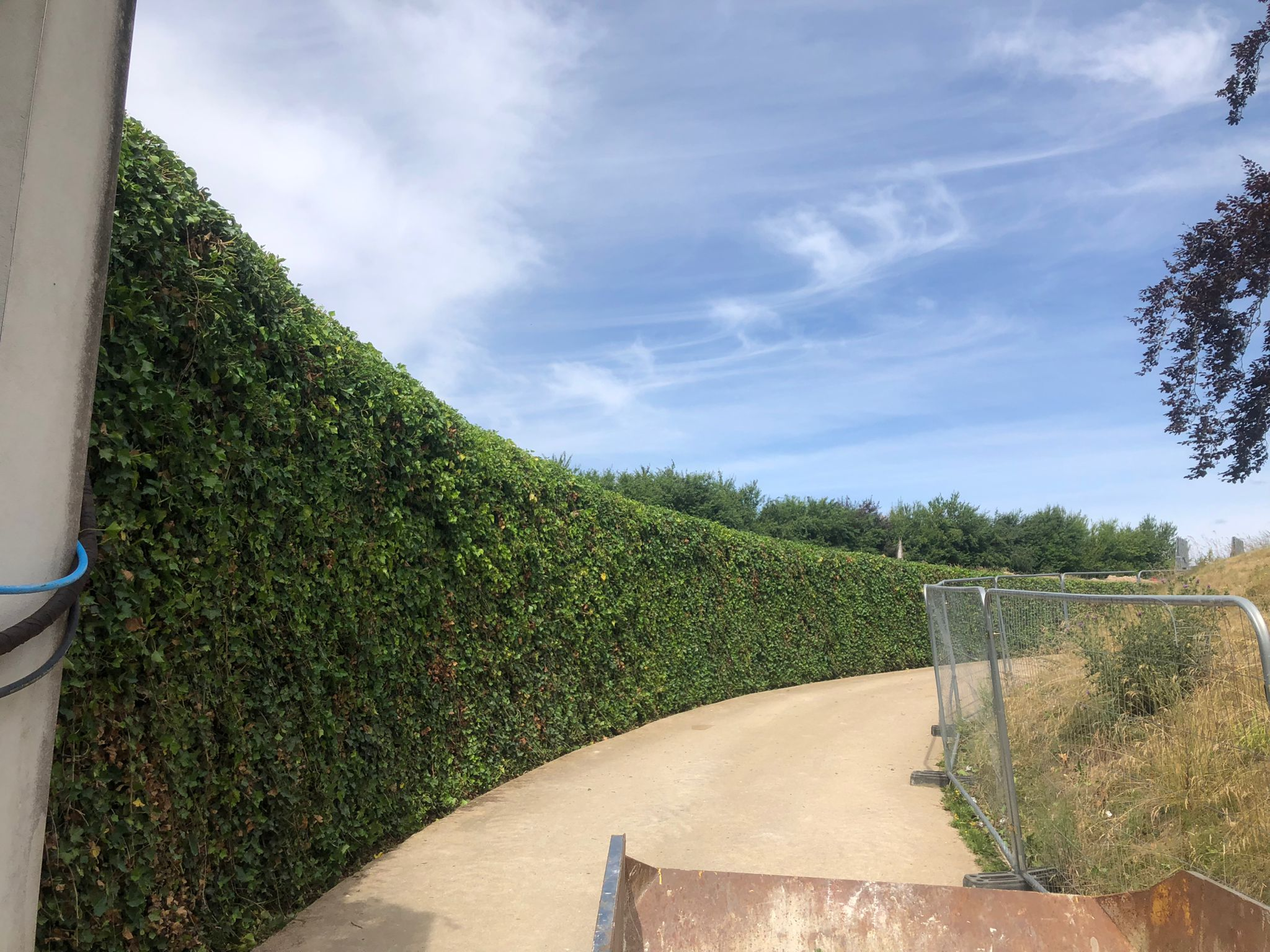 Precision Hedge Cutting